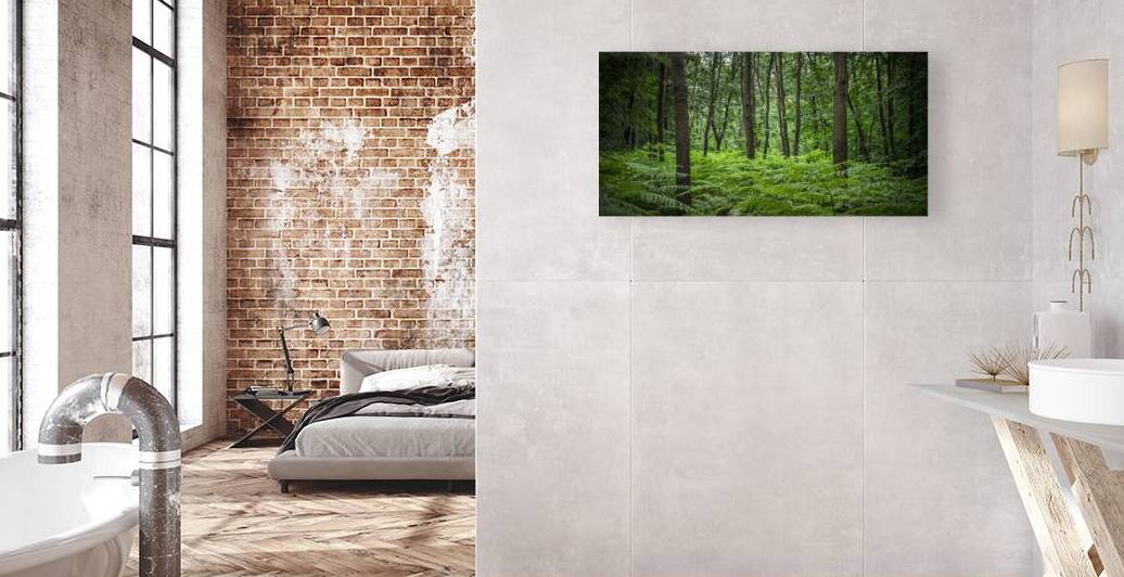 wooded landscape with ferns and trees by Gualtiero Boffi