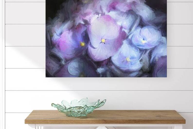 Hydrangea Macrophylla Blue Hydrangea X 1 by Rich Franco