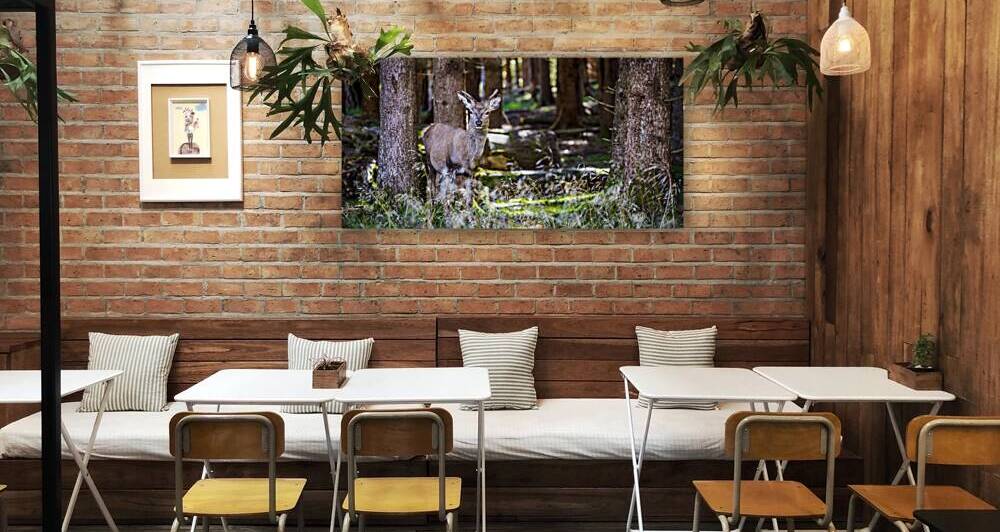 deer portrait in the wild by Gualtiero Boffi