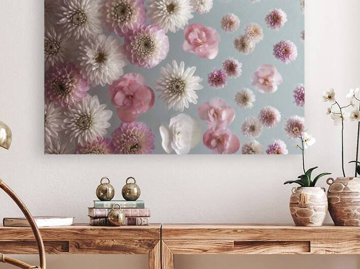 Dahlia Flowers by Assaf Frank