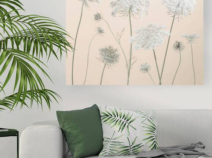 Cow parsley by Assaf Frank