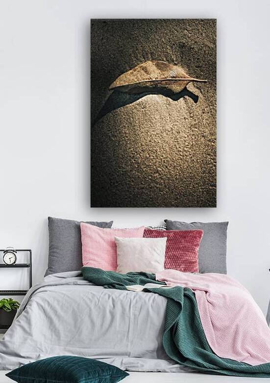 The desert burial by Jorgo