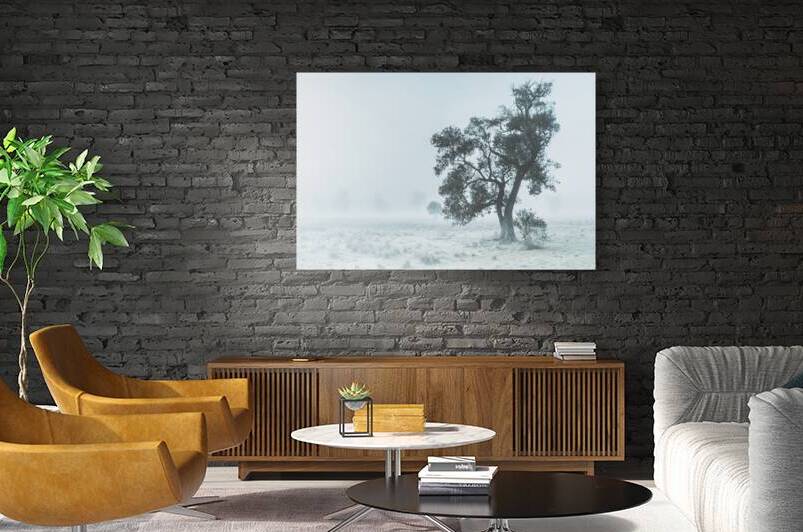 Alleena winter landscape by Jorgo