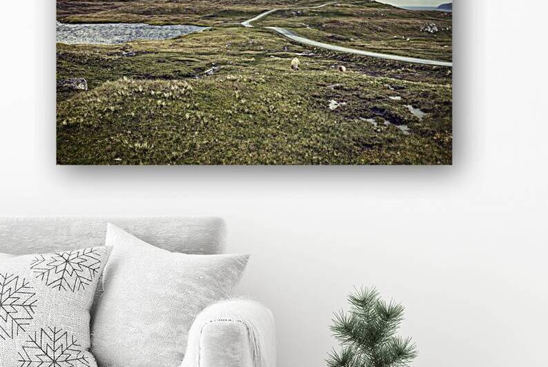 farm wind in faroe  by Gualtiero Boffi