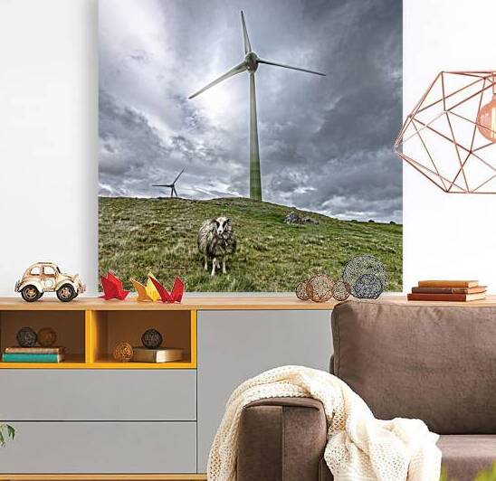 farm wind and lonely sheep i by Gualtiero Boffi