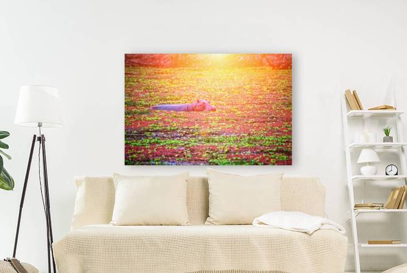 hippo in a water by Gualtiero Boffi