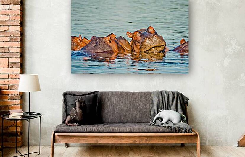 wild hippo portrait by Gualtiero Boffi