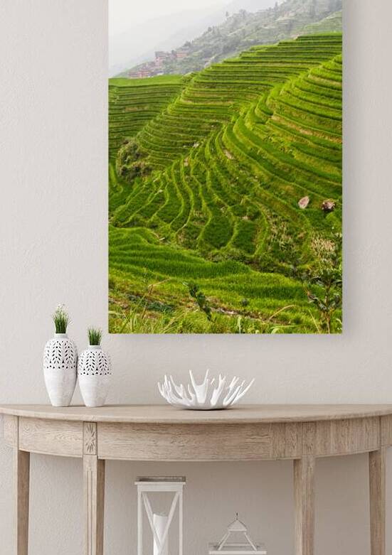 china rice field by Gualtiero Boffi