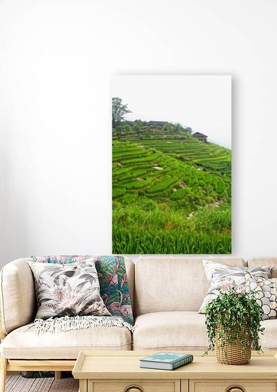 china rice field by Gualtiero Boffi