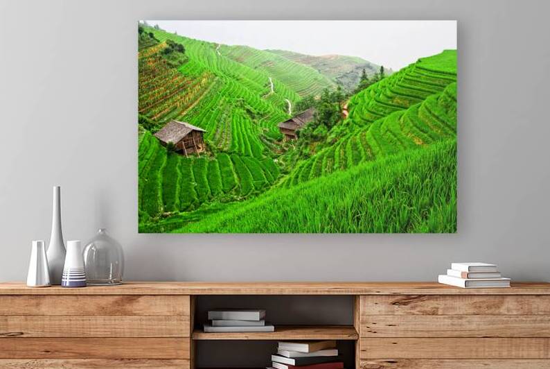 china rice field by Gualtiero Boffi