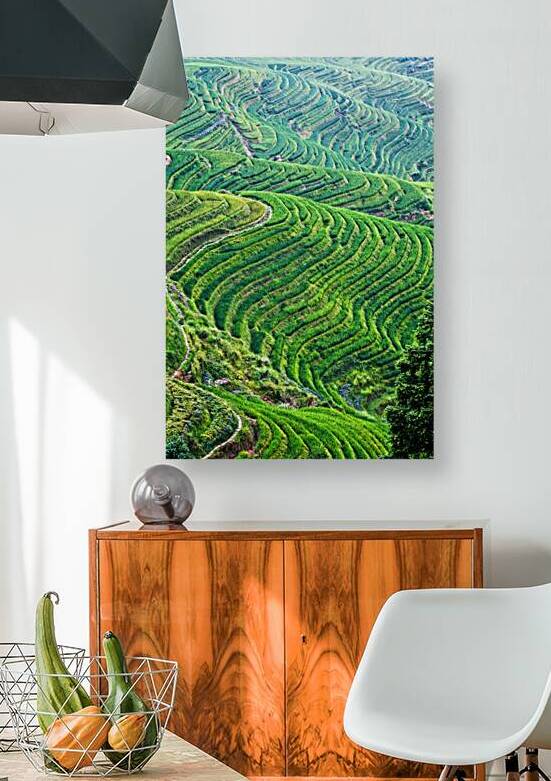 china rice field by Gualtiero Boffi