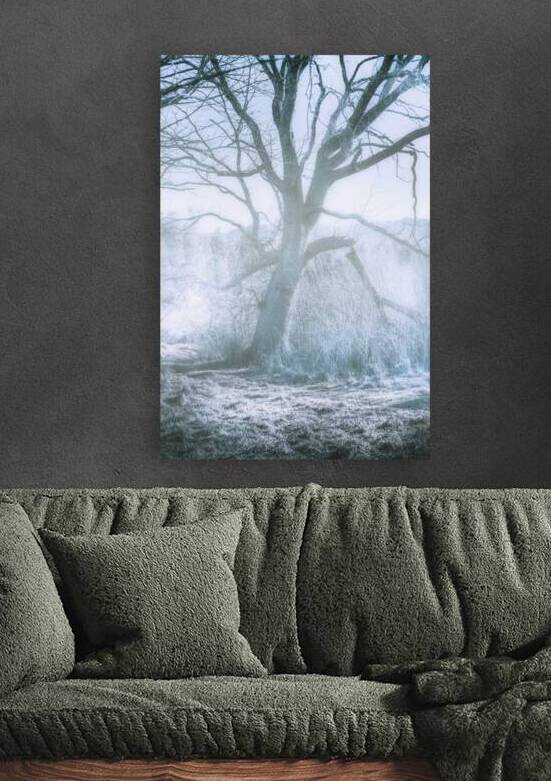 Tree of frost bite by Jorgo