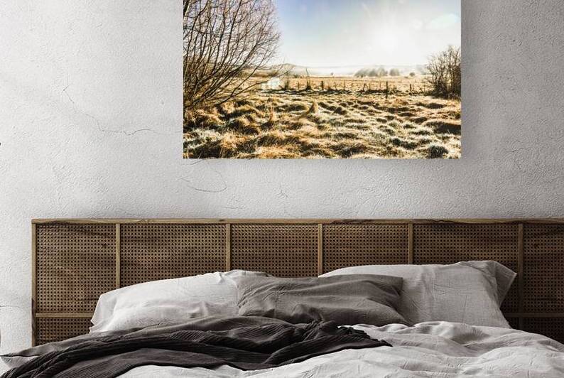 Beauty in rural winters by Jorgo