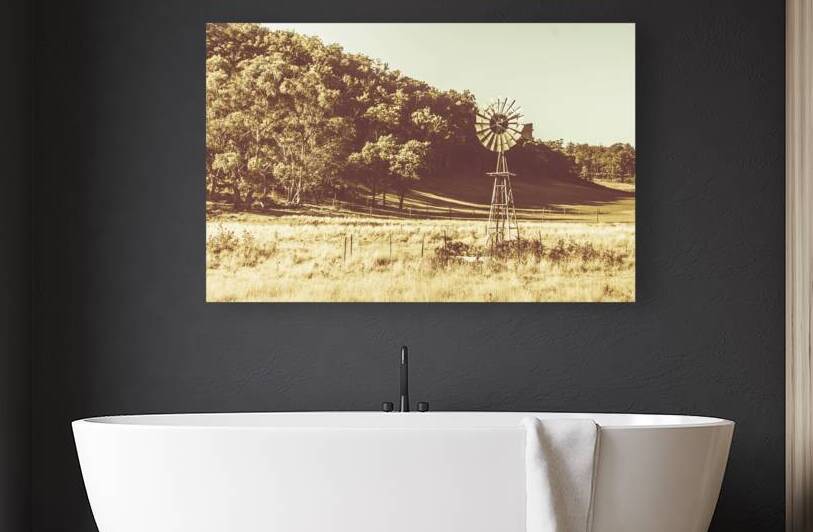 Mathinna farmyard field by Jorgo