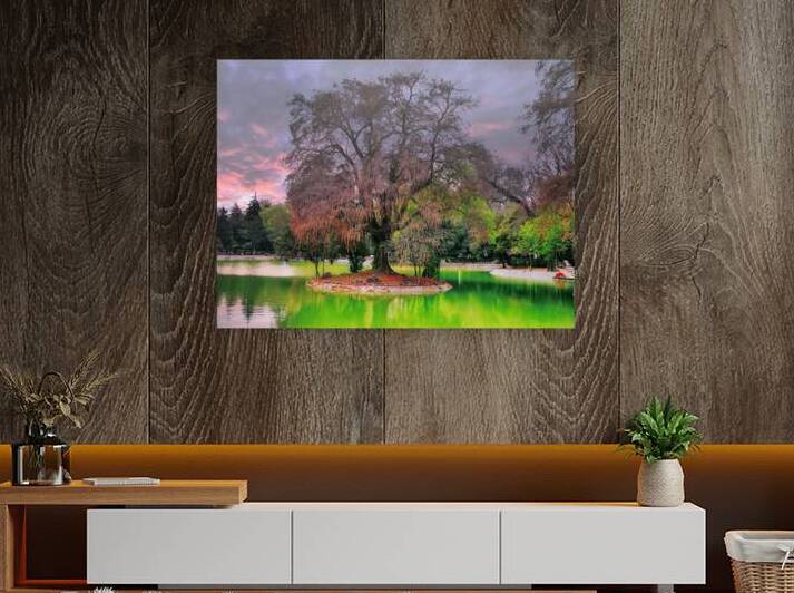 Tree in the green lake by Ehtiram Mammadov