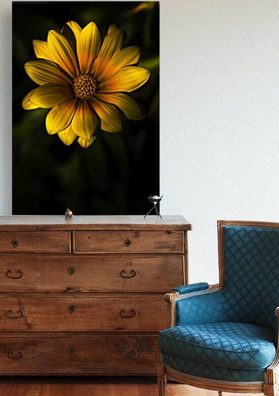 Beginning Of Spring In Flower by Jorgo