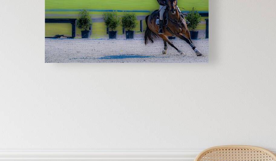 BZ9 2527 Enhanced NR by Susan Lynn Cooke