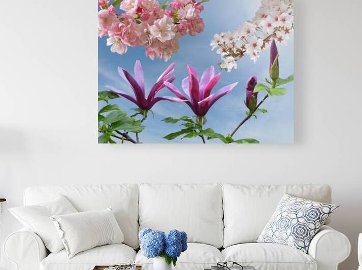 Springtime - Magnolias and Cherry Blossom by Gill Billington