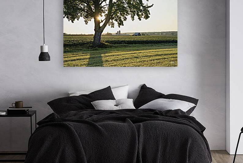 Fermiers artistes de la Terre by Jean Vachon Photographe