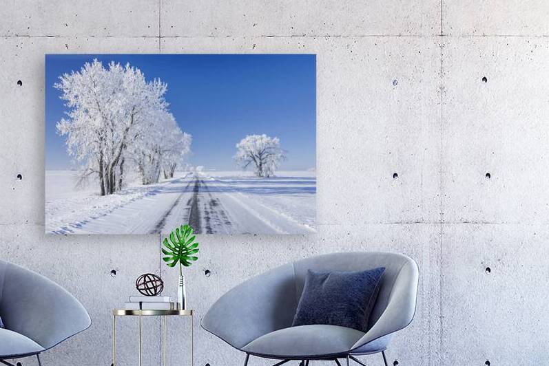 Backroad on a Frosty Afternoon by Dave Reede Photohgraphy