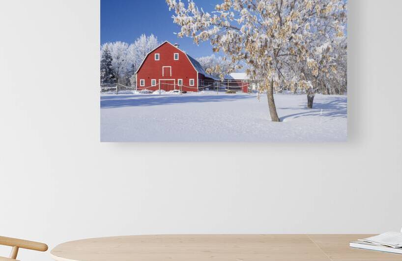 Country Barn in Winter by Dave Reede Photohgraphy