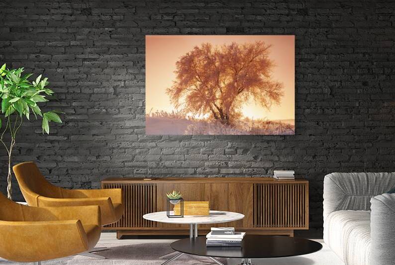 Sunset Over Frost Covered Tree by Dave Reede Photohgraphy