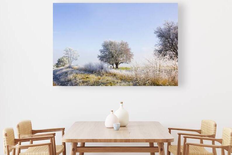 Beautiful winter background with snow tipped trees by Jorgo