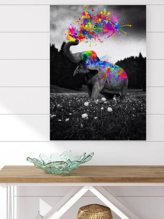 Elephant Color Splash in black and white nature by Gen Z