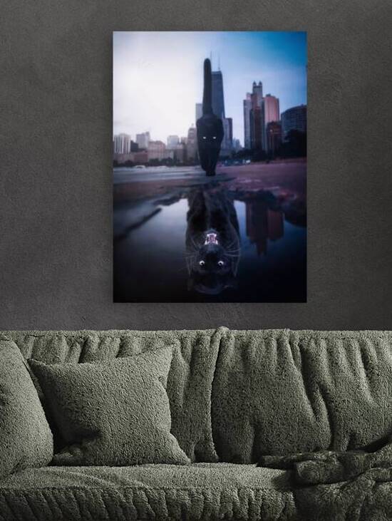 Black Cat Black Panther Puddle Reflection by Gen Z