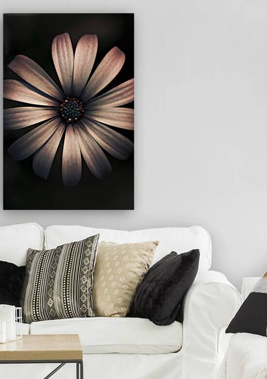 Dark Flower by Jorgo