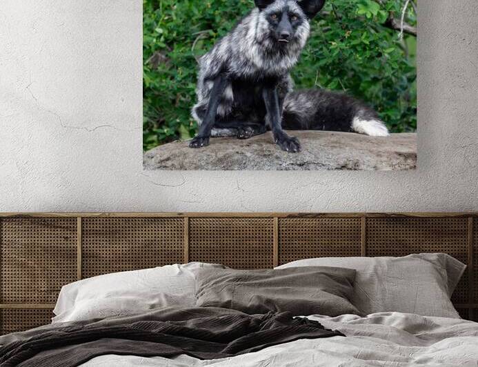 Le grimacier by Lyse Samson Photography