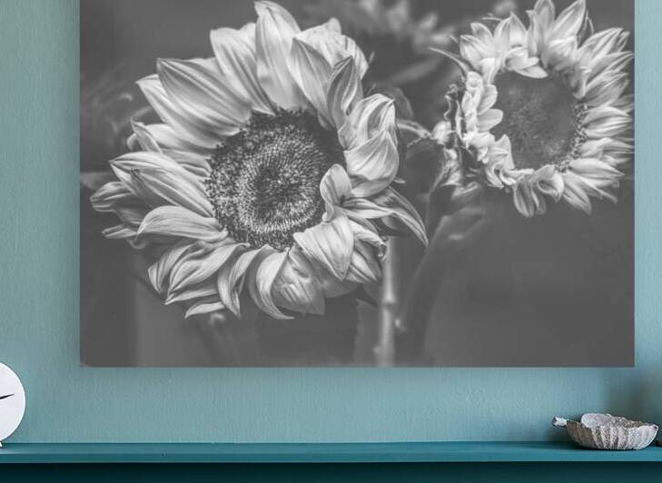 Summer nostalgia by Jorgo