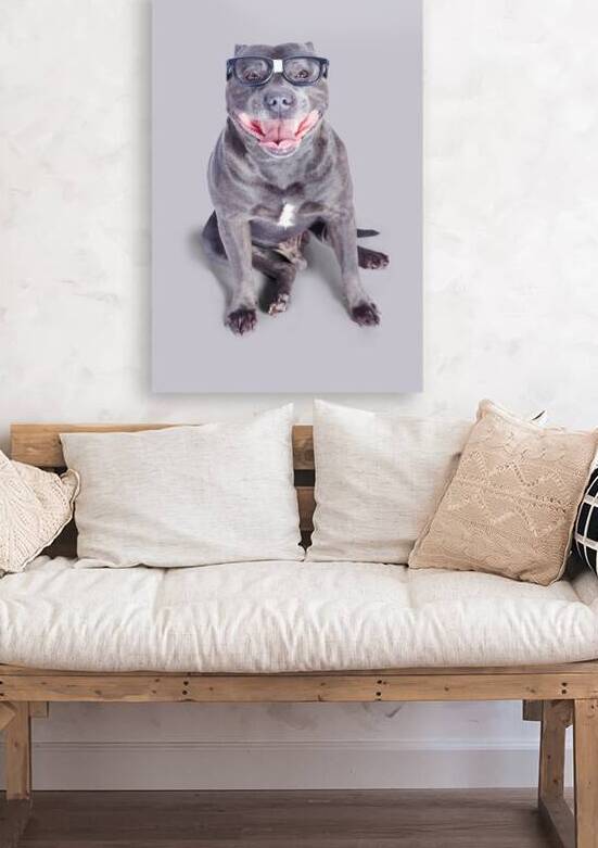 Dog wearing nerd glasses by Jorgo