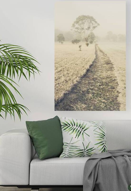 Trees in fog and mist by Jorgo