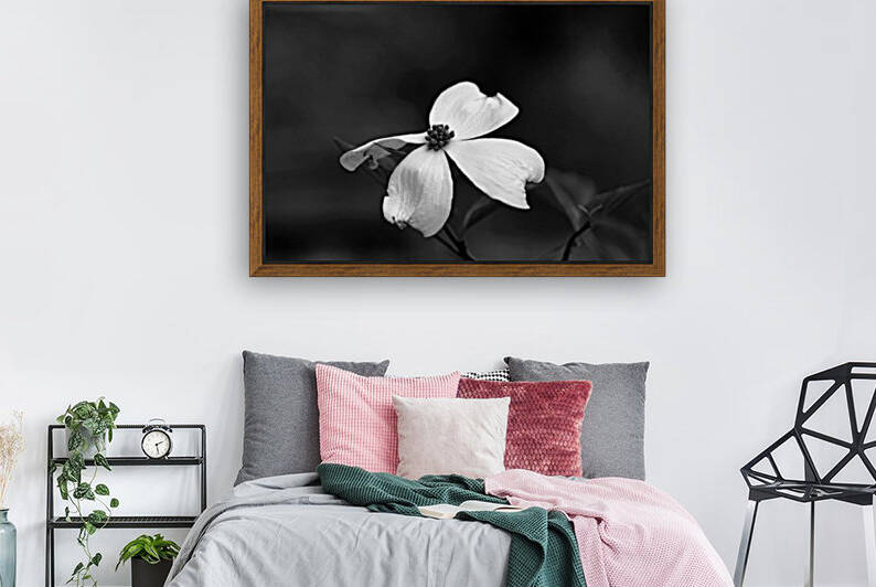 White Dogwood Bloom Black And White by Deb Oppermann