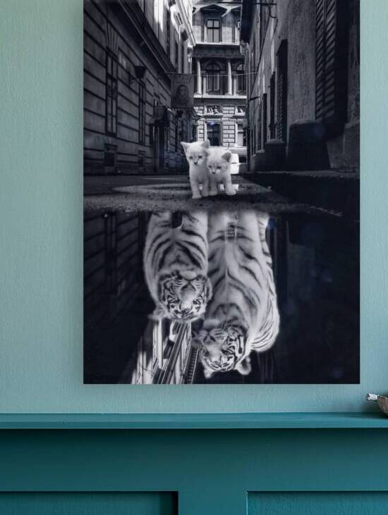 When little cats become big cats by Gen Z