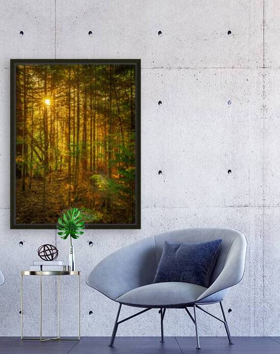 Maine Forrest by Geoffrey Prior