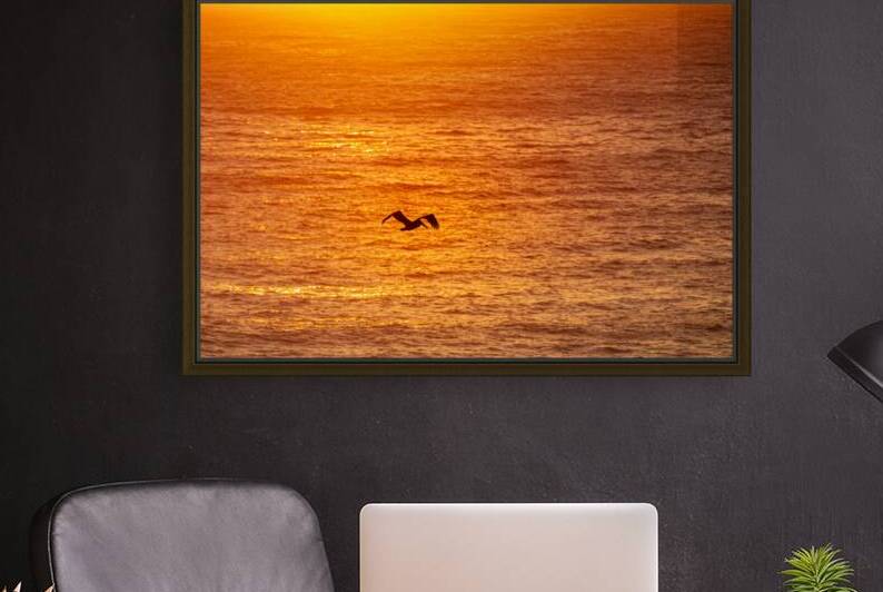 Sunset Pelican by Geoffrey Prior