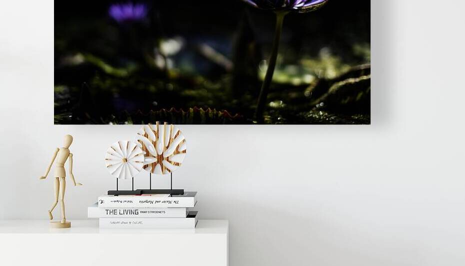  Y014438 by Dylan Hall