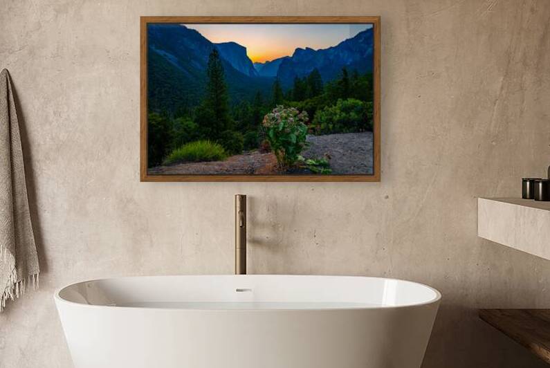 Yosemite Wild Flowers by Geoffrey Prior