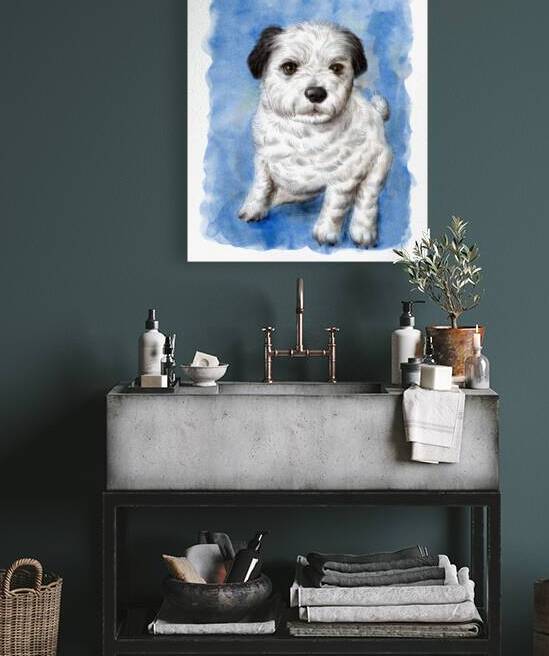 shih tzu pomeranian mix breed portrait watercolor painting by Kevin Miller Photography
