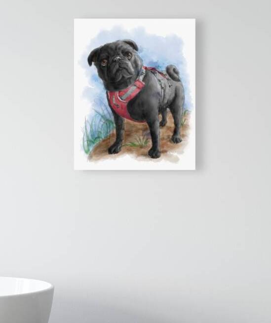 Pug dog portrait watercolor painting by Kevin Miller Photography