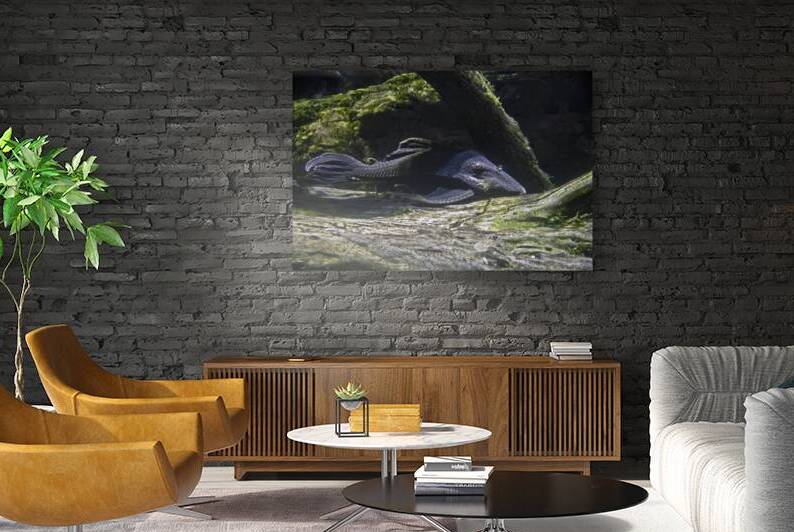 Sneaky by DeepEarth Photography