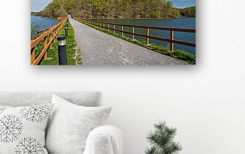 Pathway to spring leaves in Cheat Lake Morgantown WV by Steve Heap