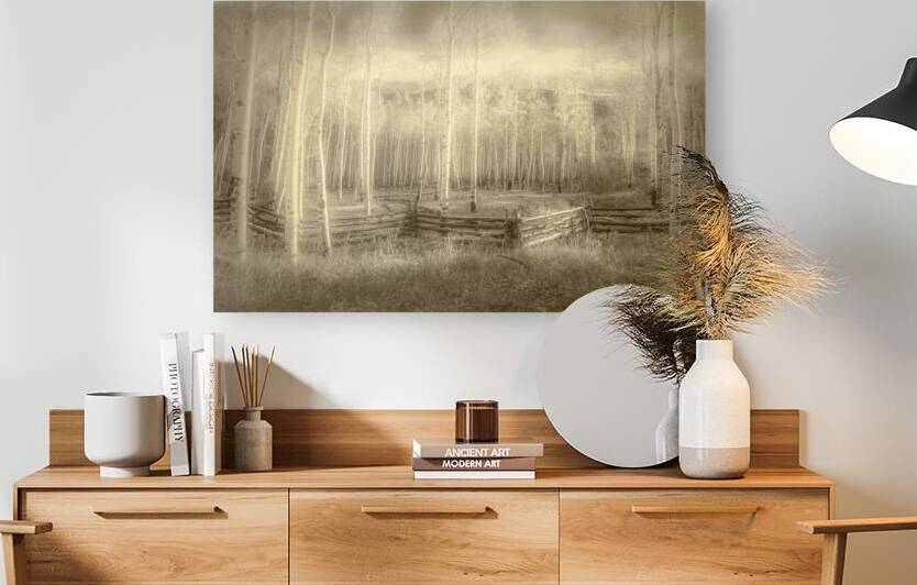 Artistic Colorado Aspens in Sepia Monotone by Norma Brandsberg Photography