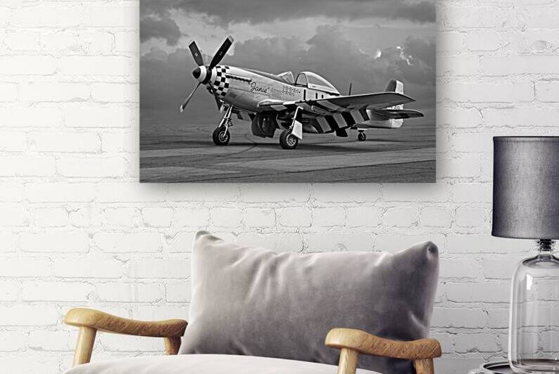 Janie p-51 in Black and White by Gill Billington