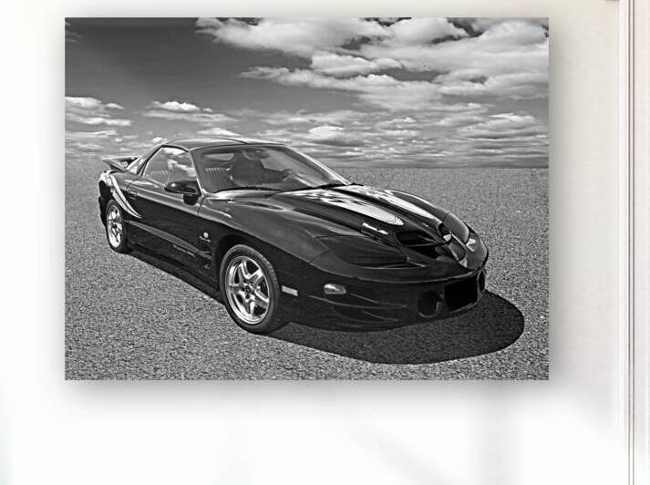Pontiac Trans Am Ram Air in Black and White by Gill Billington