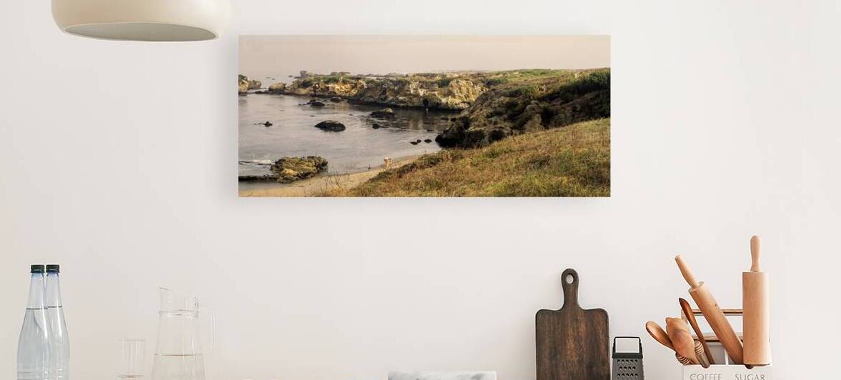 The Shell Collectors P by Frank Wilson