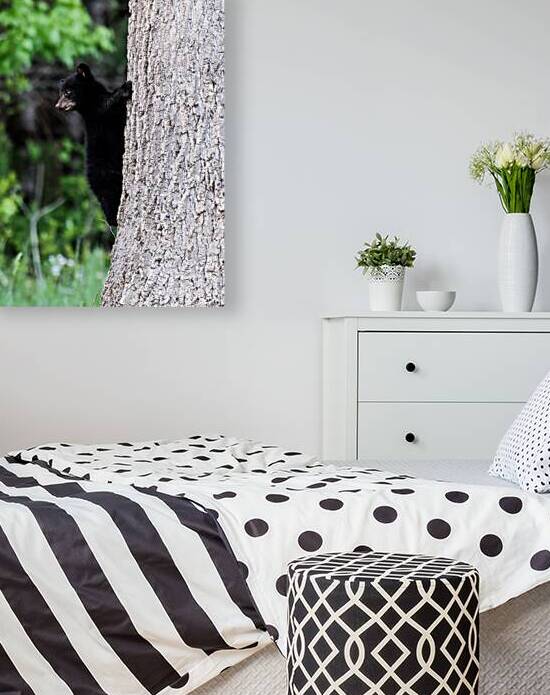 Up here mom by Vividscope