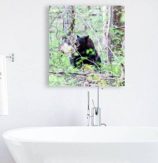 The answer to the age old question by Vividscope